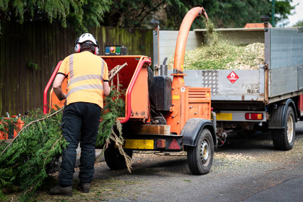 Best Lawn Drainage Solutions  in Pulaski, VA