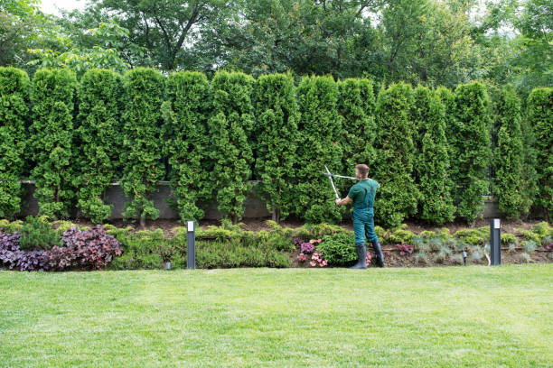 Best Lawn Mowing  in Pulaski, VA